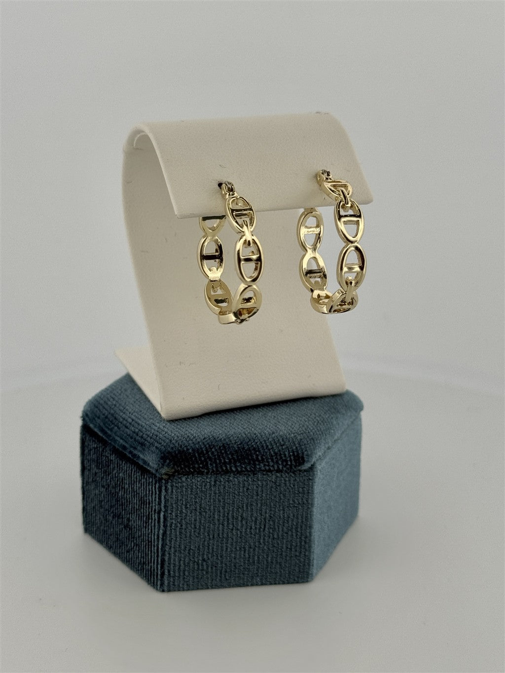 Trendy Hoop Earrings