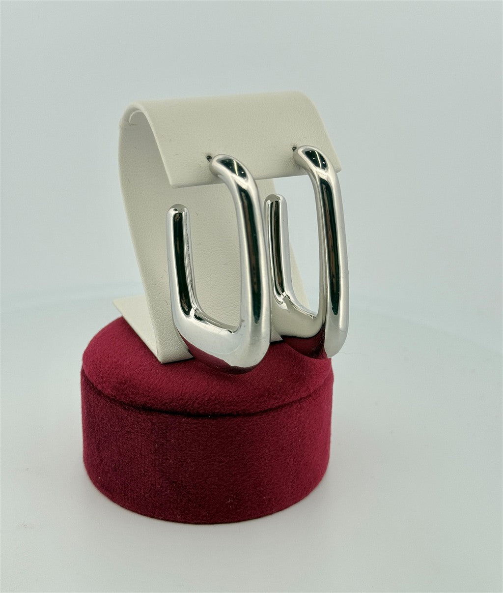 Trendy Hoop Earrings