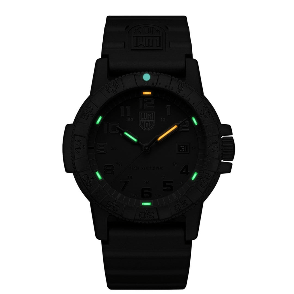 Luminox Watch