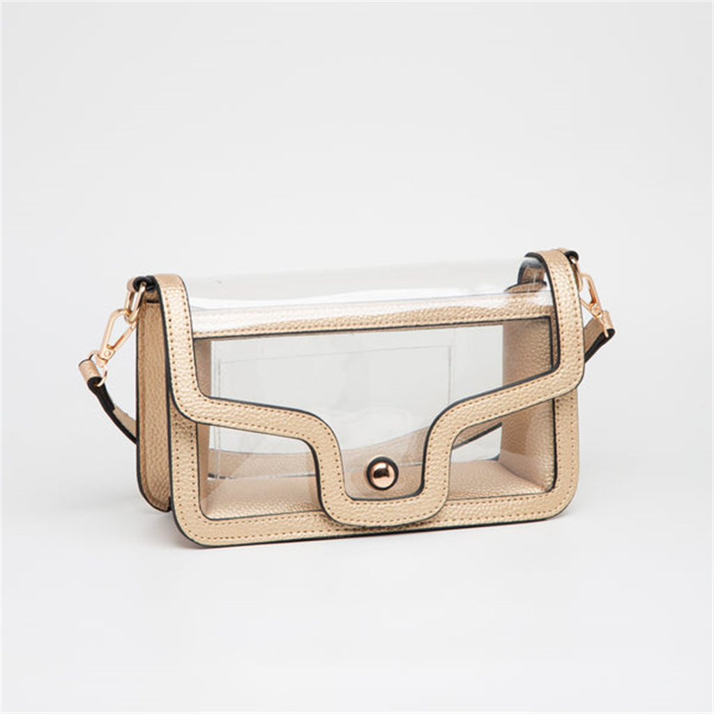 Gold And Clear Purse