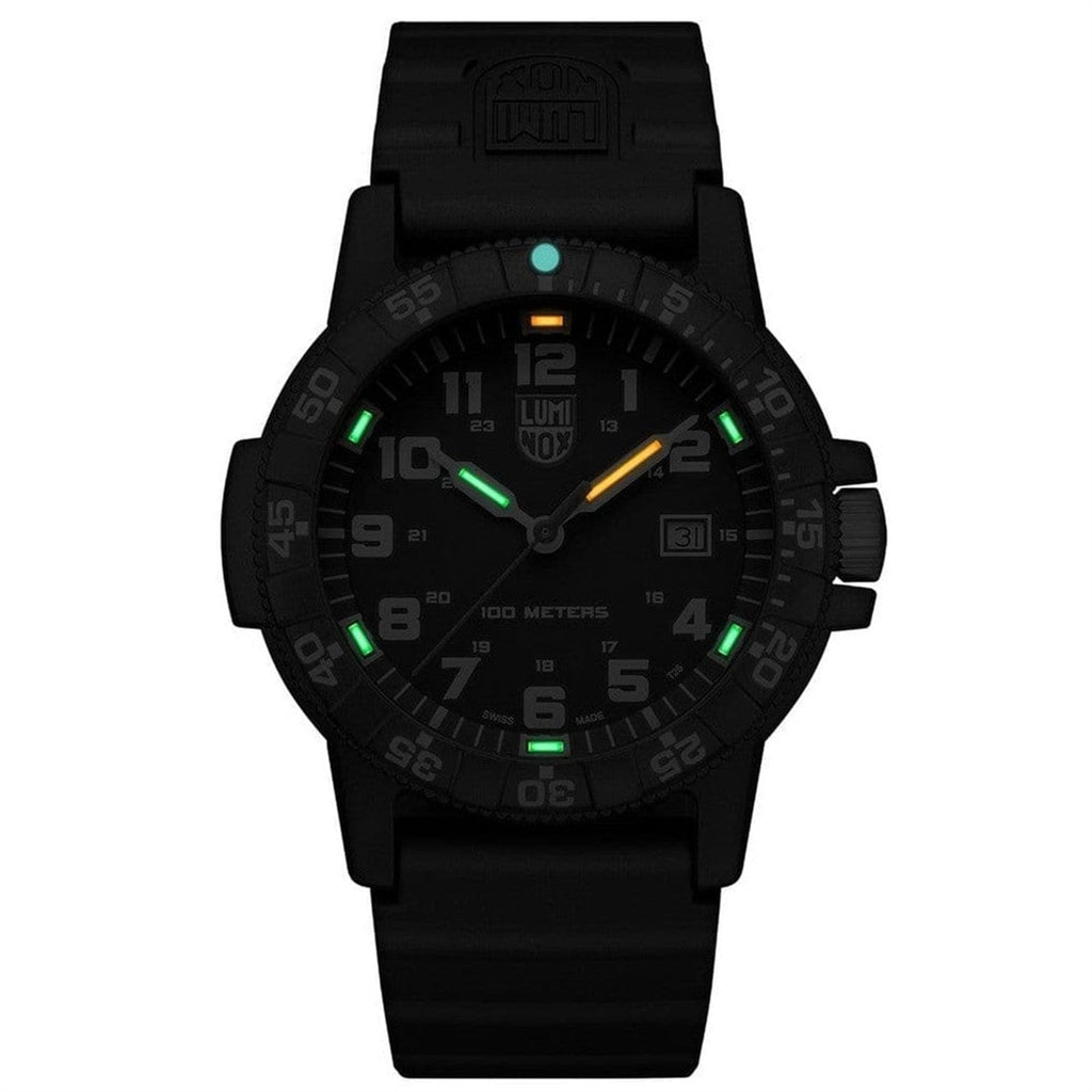 Luminox Watch