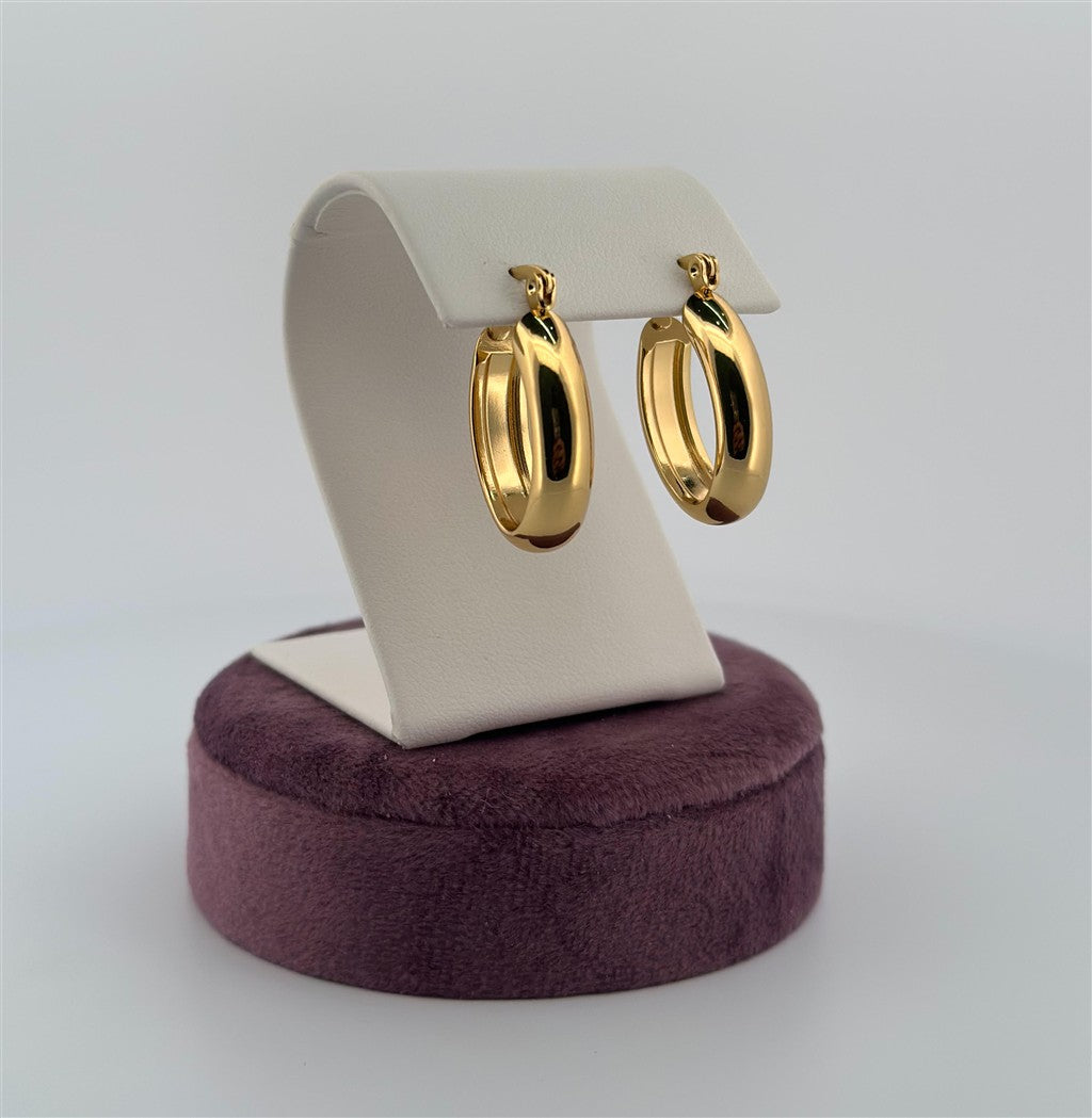 Gold Filled Hoop Earrings