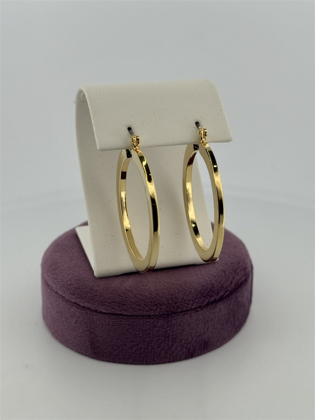 Trendy Hoop Earrings