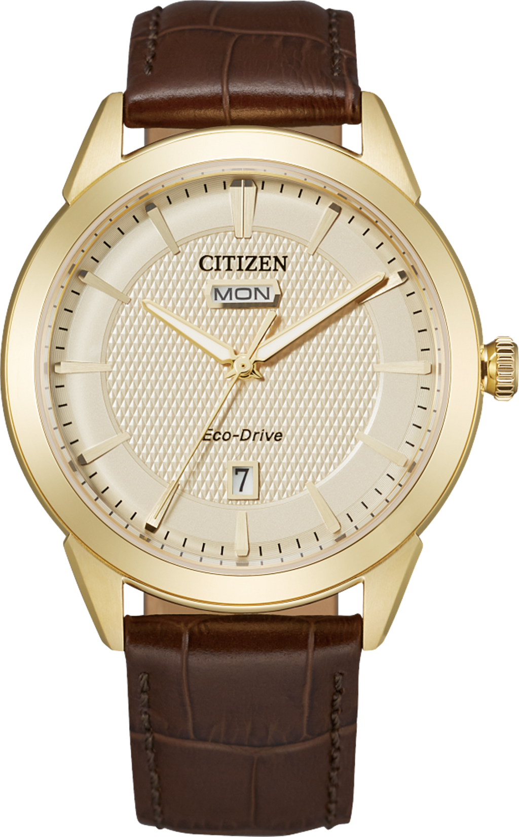 Mens Eco-Drive Citizen Watch