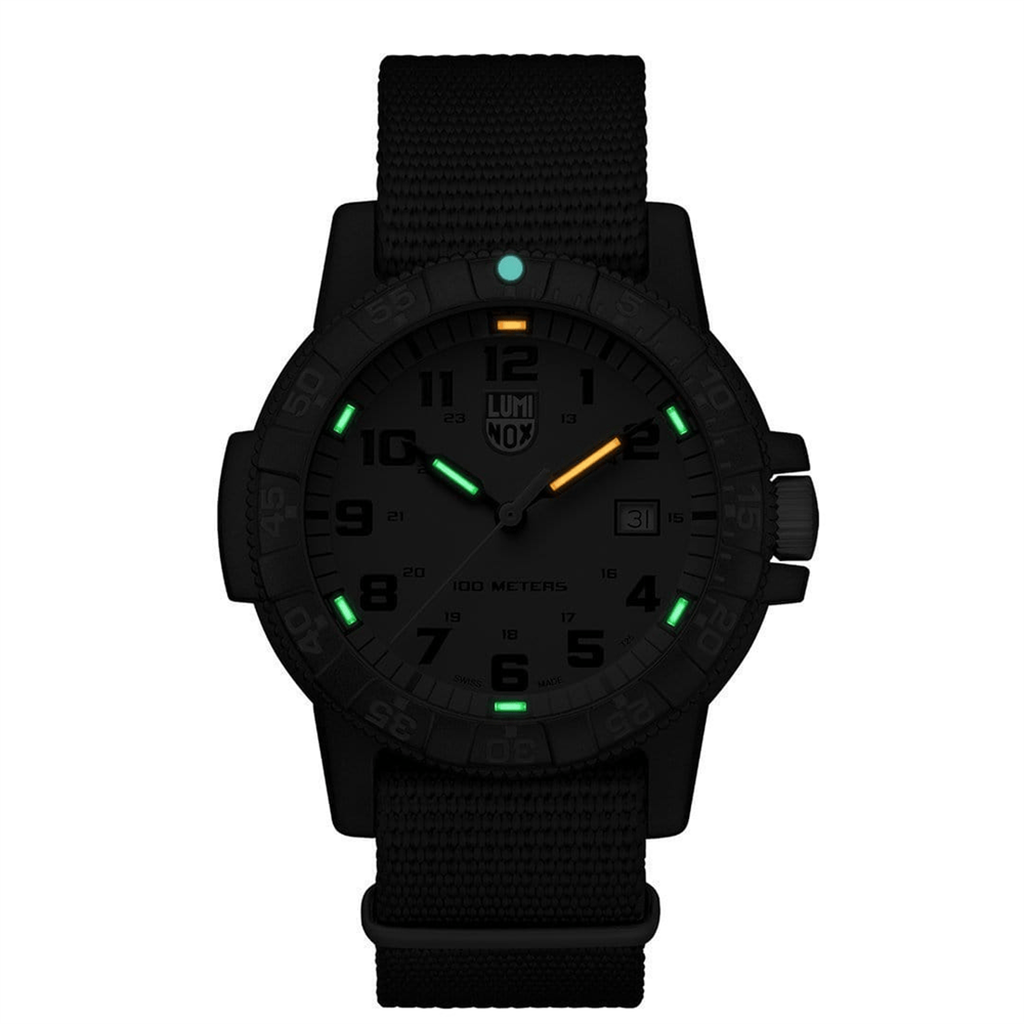 Luminox Watch