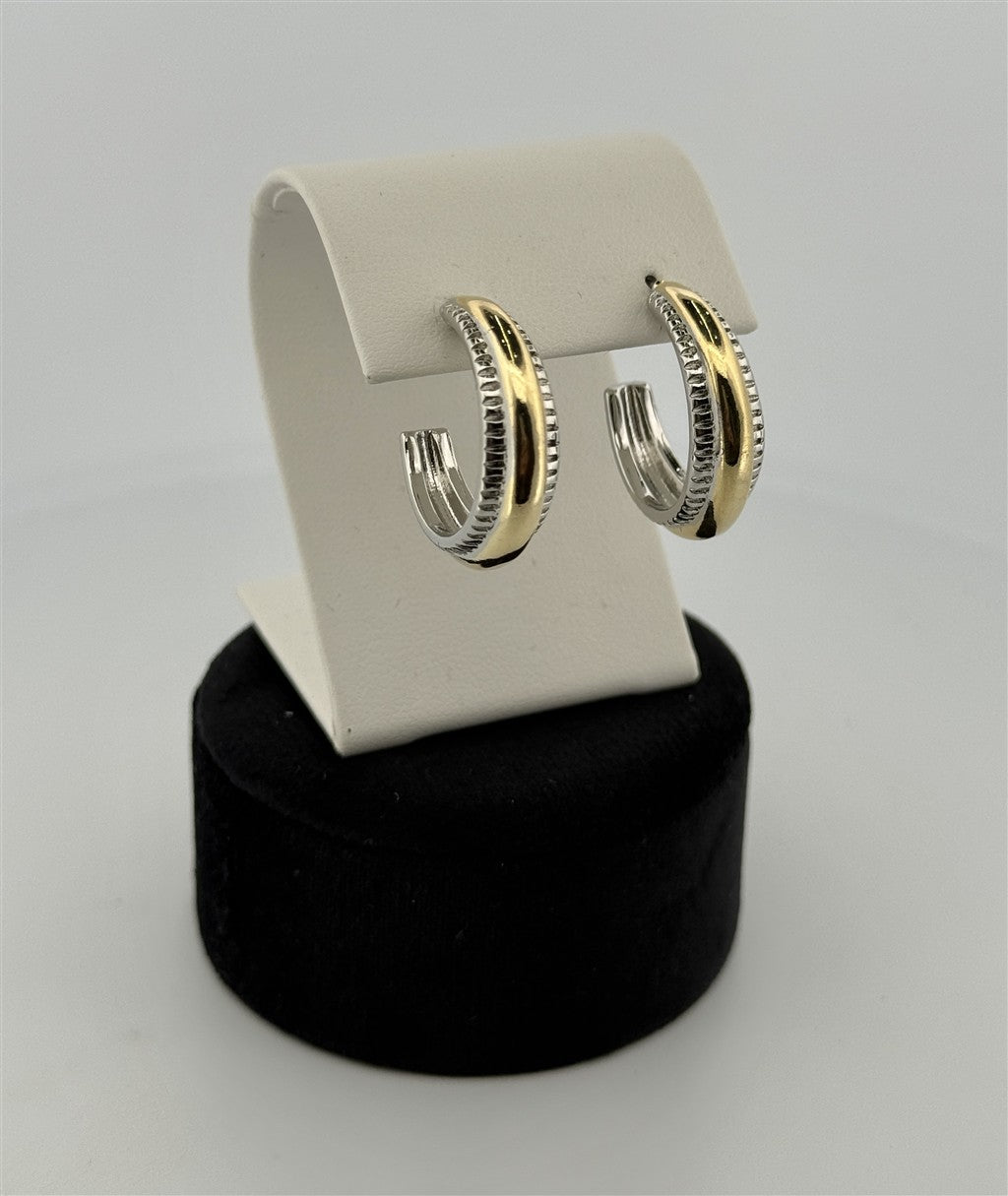 Trendy Hoop Earrings