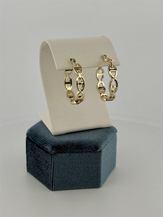 Trendy Hoop Earrings