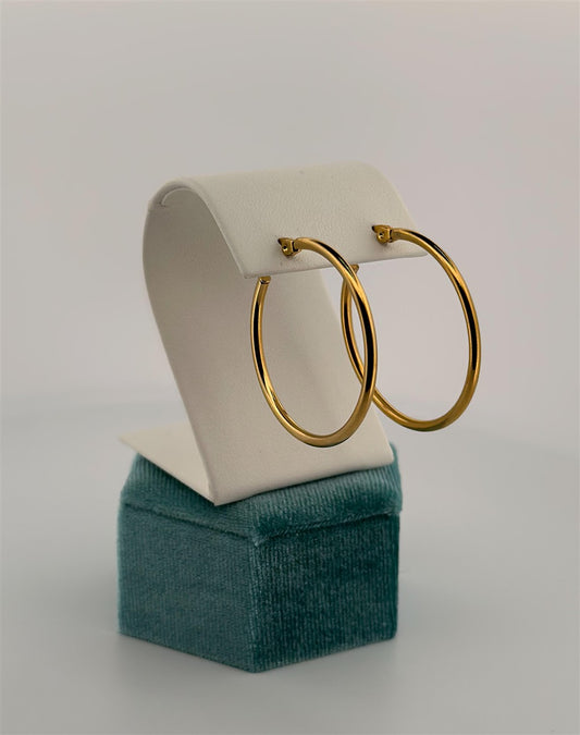 Gold Filled Hoop Earrings