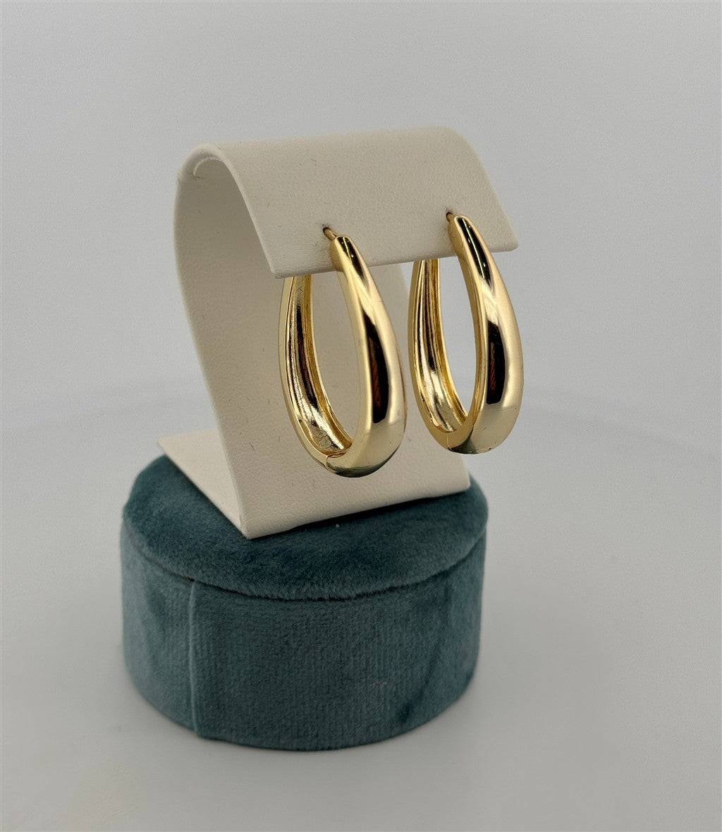 Trendy Hoop Earrings