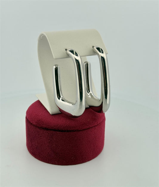 Trendy Hoop Earrings