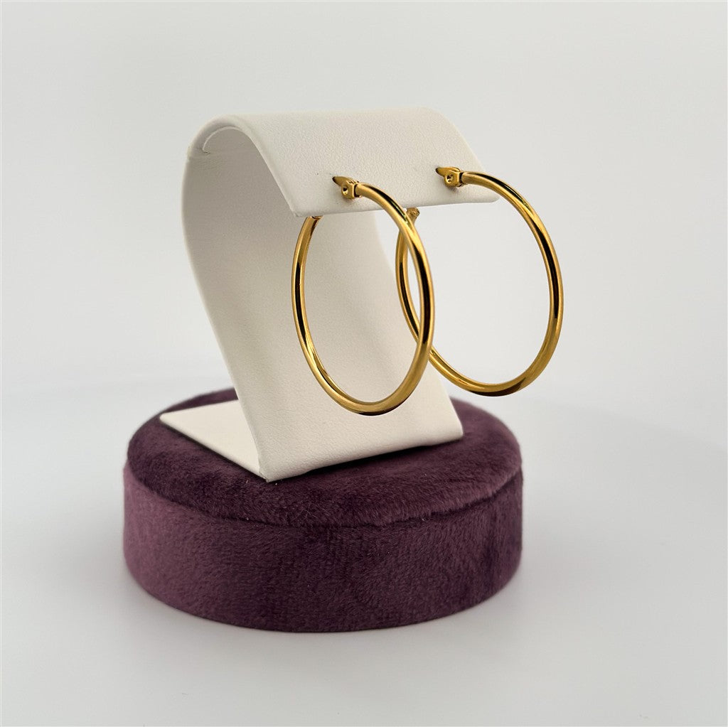 Gold Filled Hoop Earrings