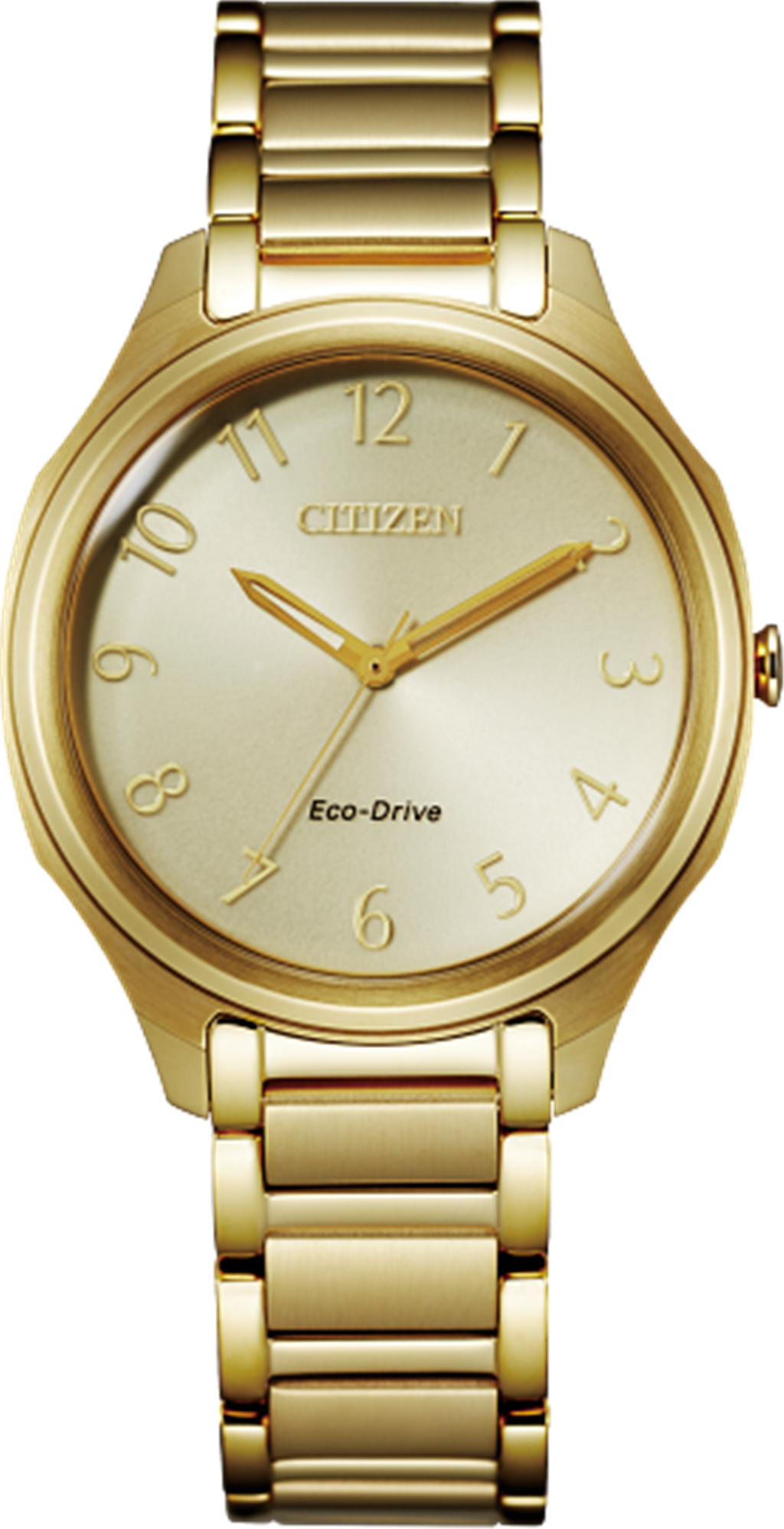 Ladies Eco-Drive Citizen Watch
