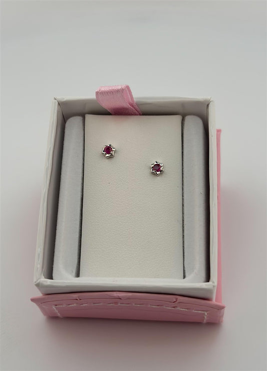 Sterling Silver Rubby Stud Earrings