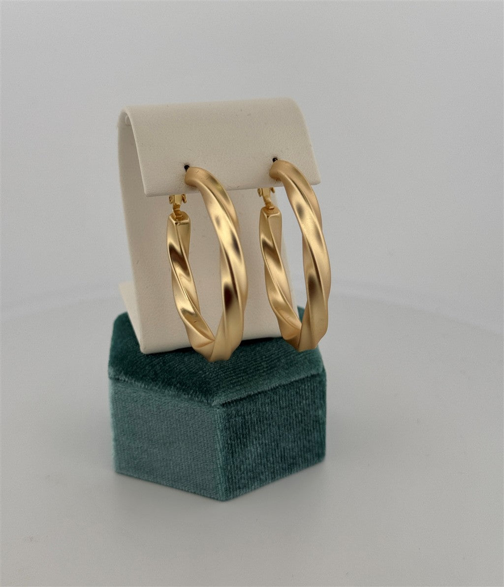 Trendy Hoop Earrings