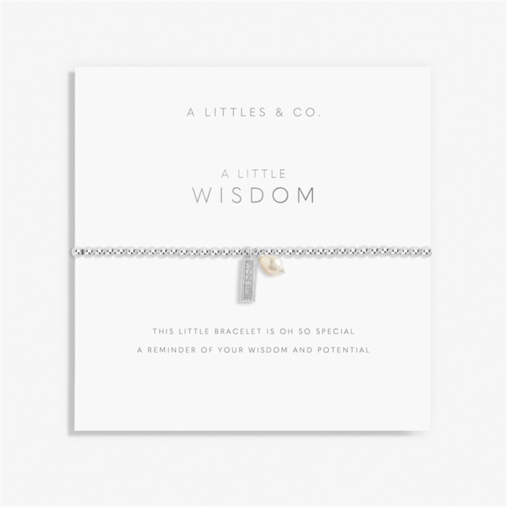 Wisdom Bracelet