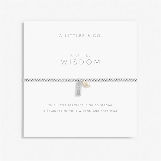 Wisdom Bracelet