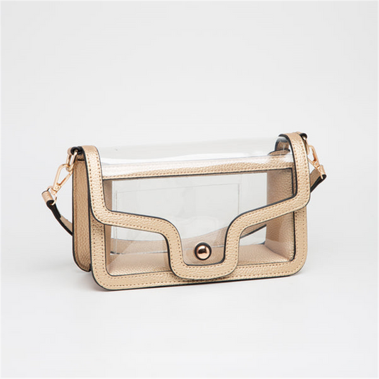 Gold And Clear Purse