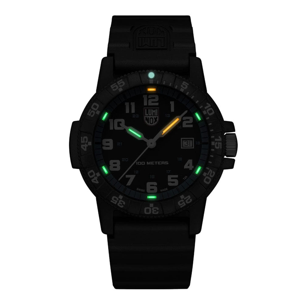 Luminox Watch