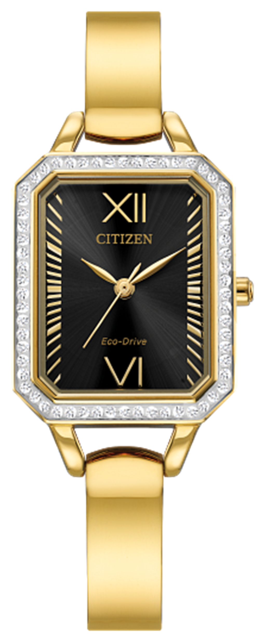 Ladies Eco-Drive Citizen Watch