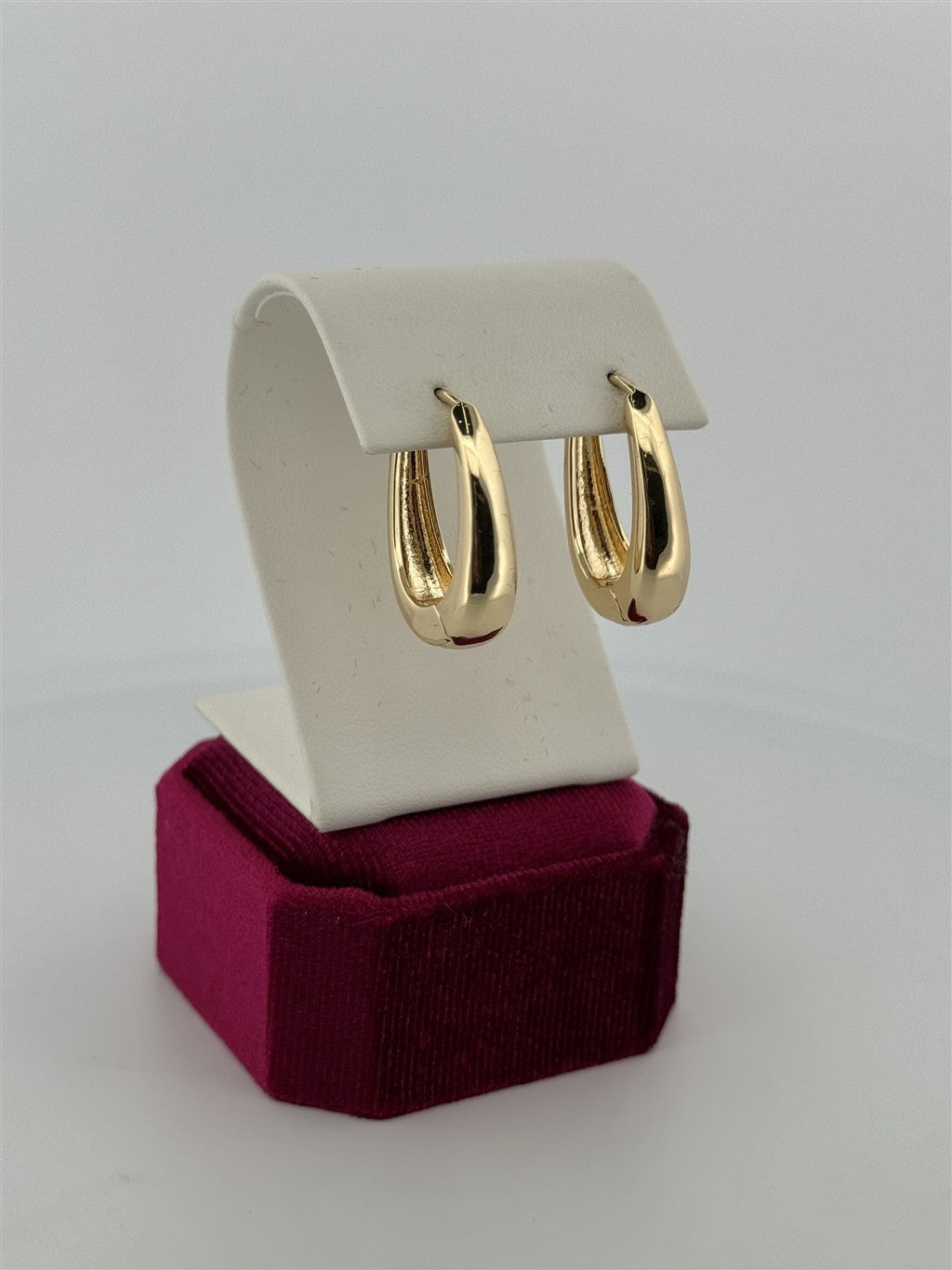 Trendy Hoop Earrings