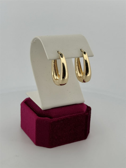 Trendy Hoop Earrings