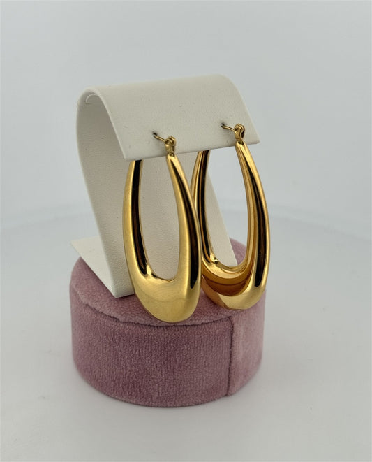 Trendy Hoop Earrings