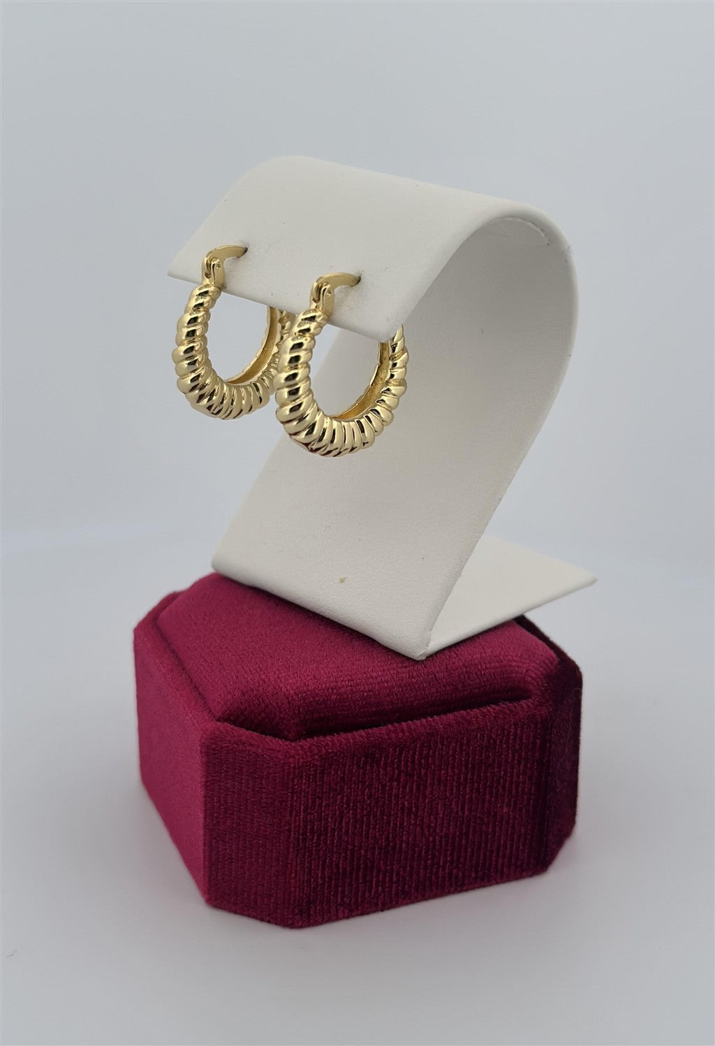 Trendy Hoop Earrings