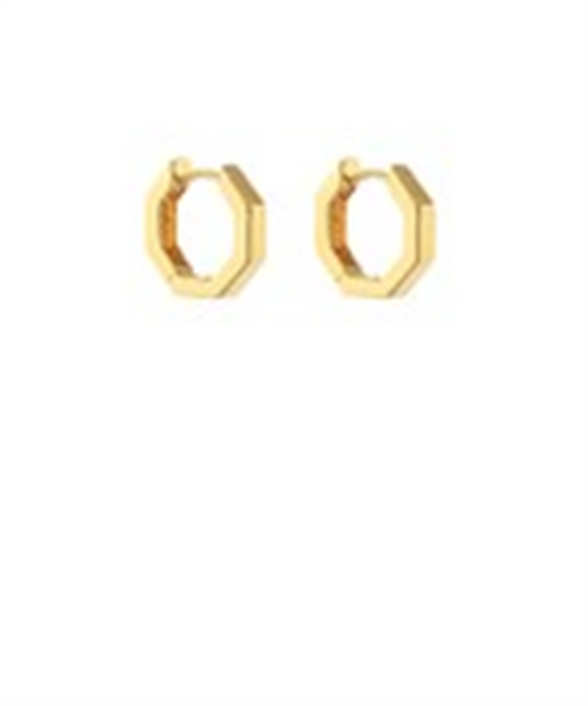 Trendy Geometric Hoop Earrings