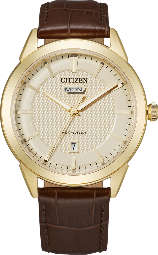 Mens Eco-Drive Citizen Watch