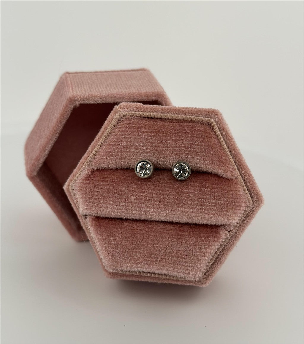 Titamium Stud Earrings