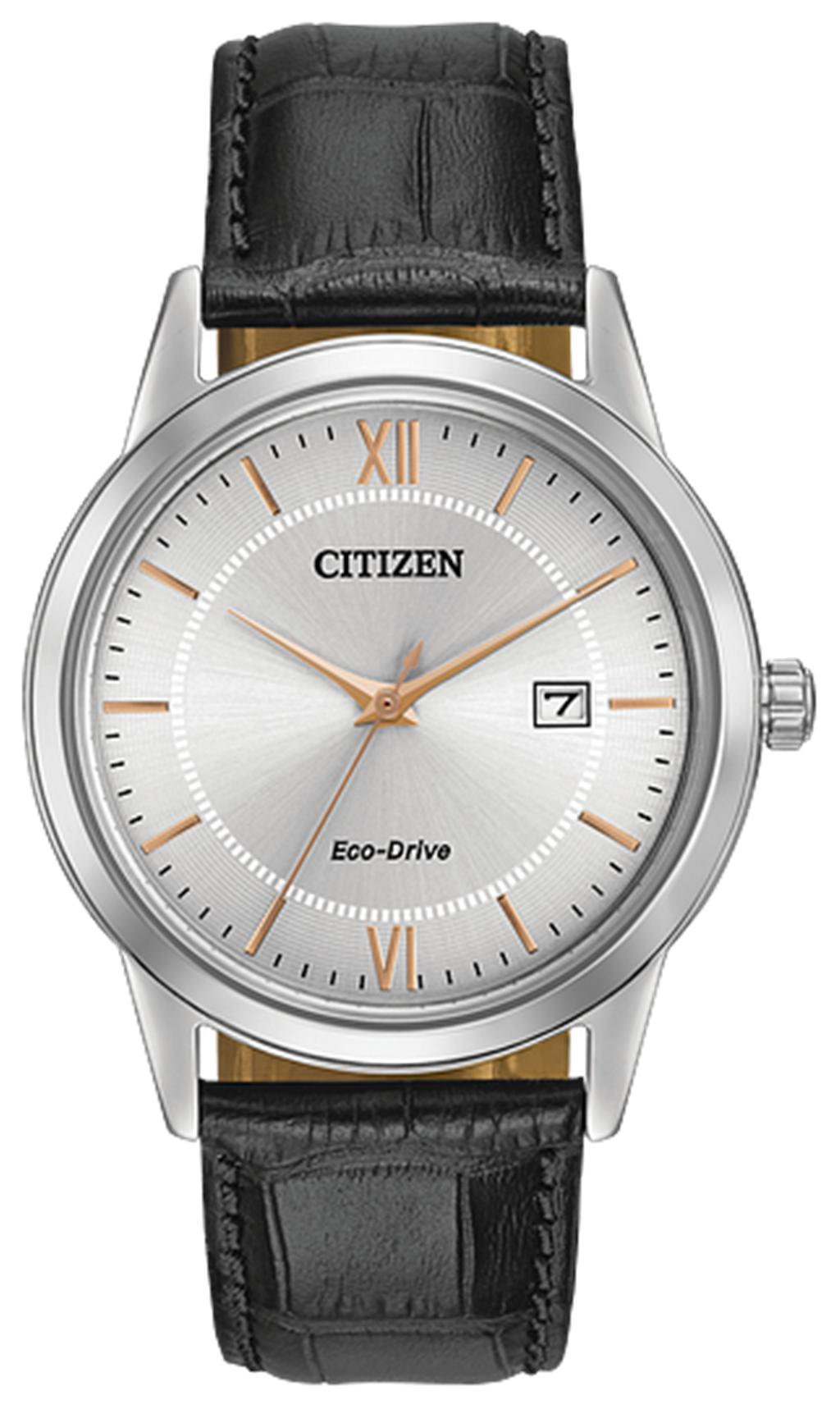 Mens Eco-Drive Citizen Watch